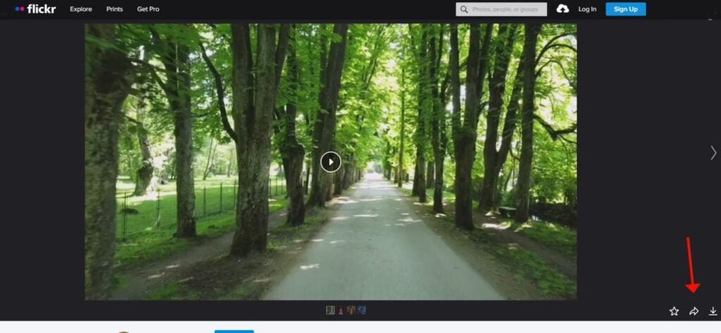 Flickr Video Downloader - snapfrom.com