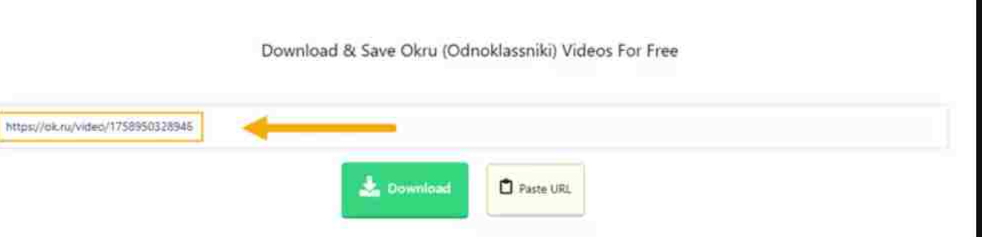 OKru Video Downloader